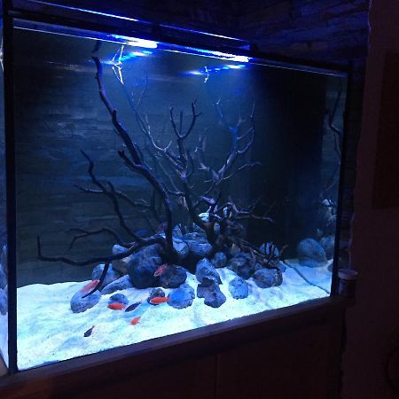 Aquarium House Διαμέρισμα Σεσίμπρα Εξωτερικό φωτογραφία