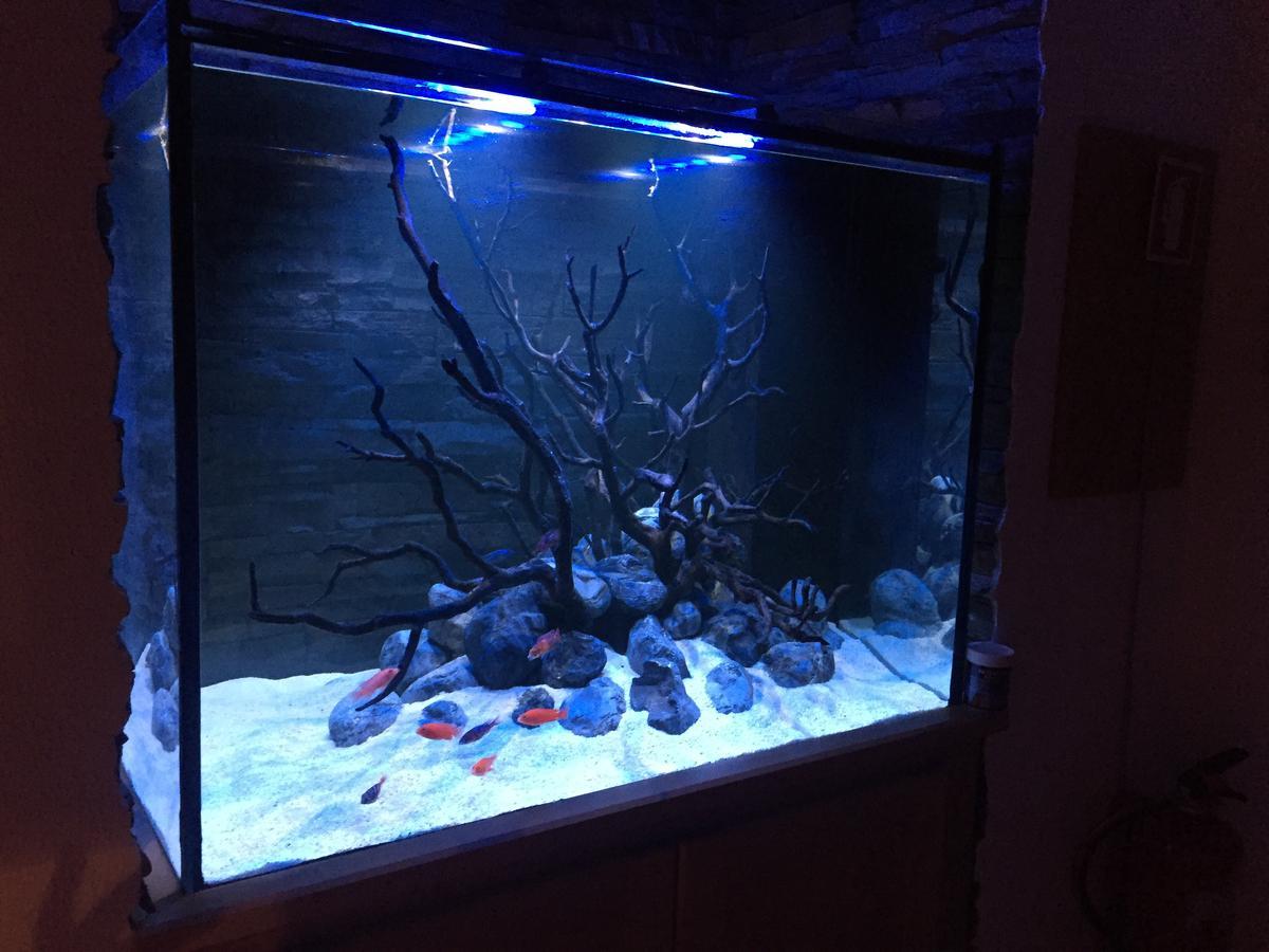 Aquarium House Διαμέρισμα Σεσίμπρα Εξωτερικό φωτογραφία